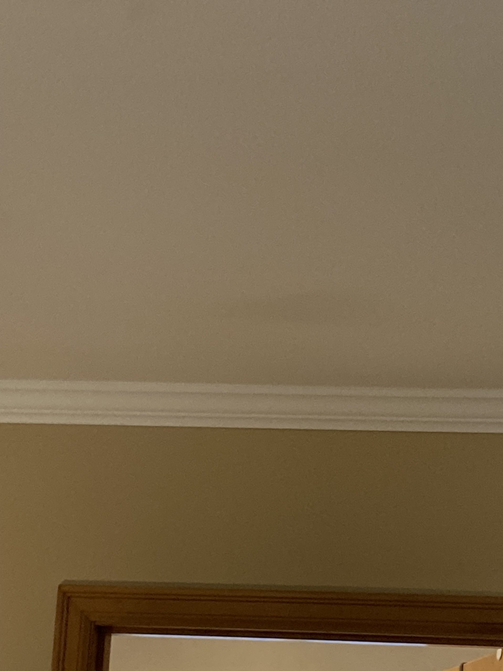 What to do if you think your house has mold? 5 Microns Inc