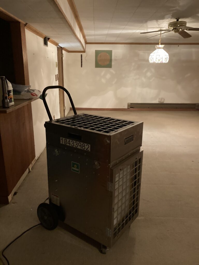 Mold remediation near me. Is mold remediation worth it? 5 Microns Inc