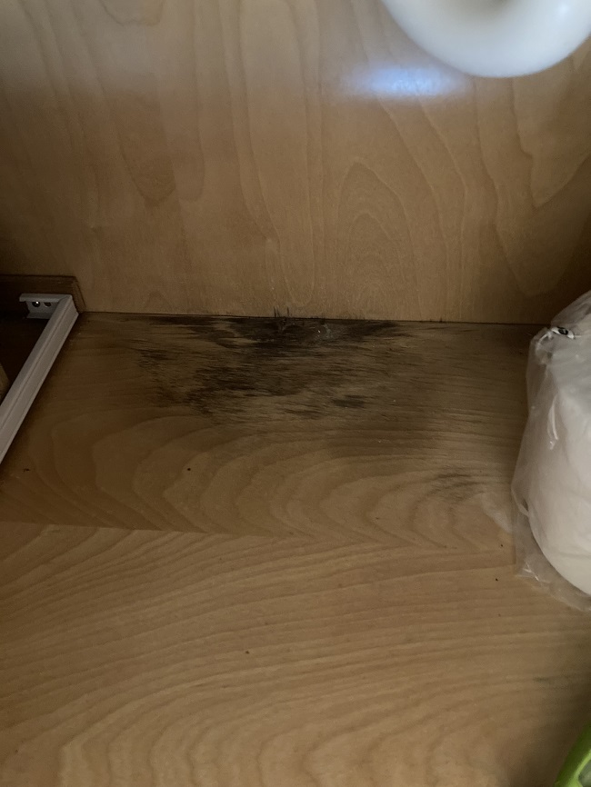 Is it safe to clean black mold yourself? 5 Microns Inc. 5 Microns Inc
