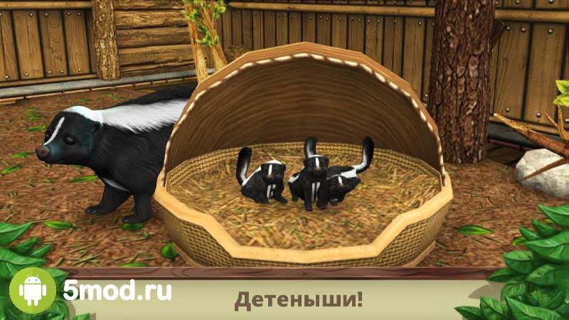 Ð¡ÐºÐ°Ñ‡Ð°Ñ‚ÑŒ Pet World WildLife America animal game 2.45 APK Ð¸ ÐºÑ Ñˆ (Mod