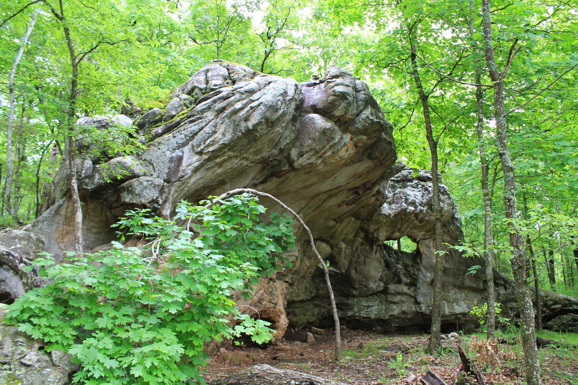 Lake Leatherwood City Park Hiking Biking Boating & More