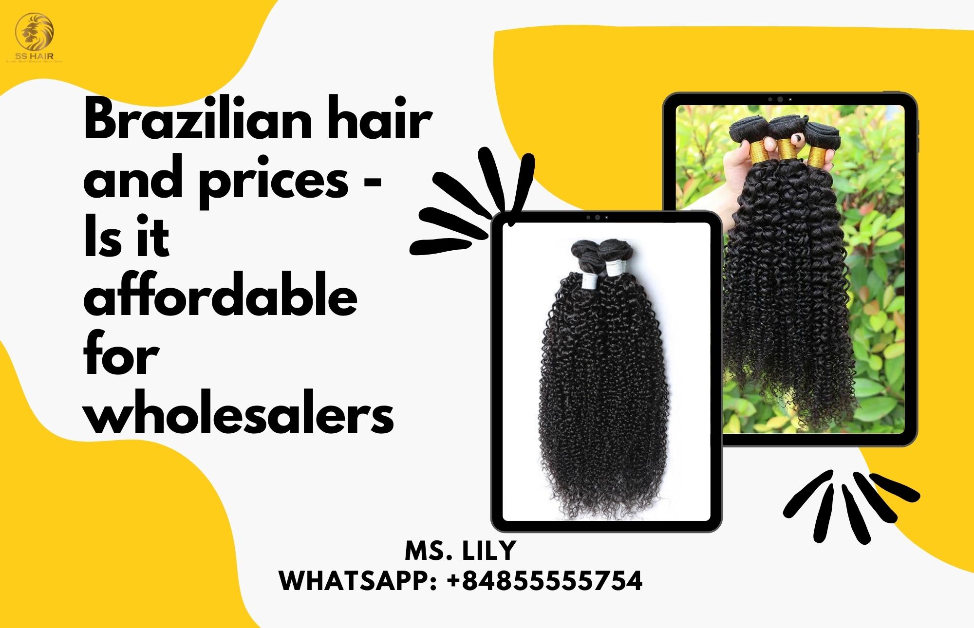 Brazilian hair and prices Is it affordable for wholesalers