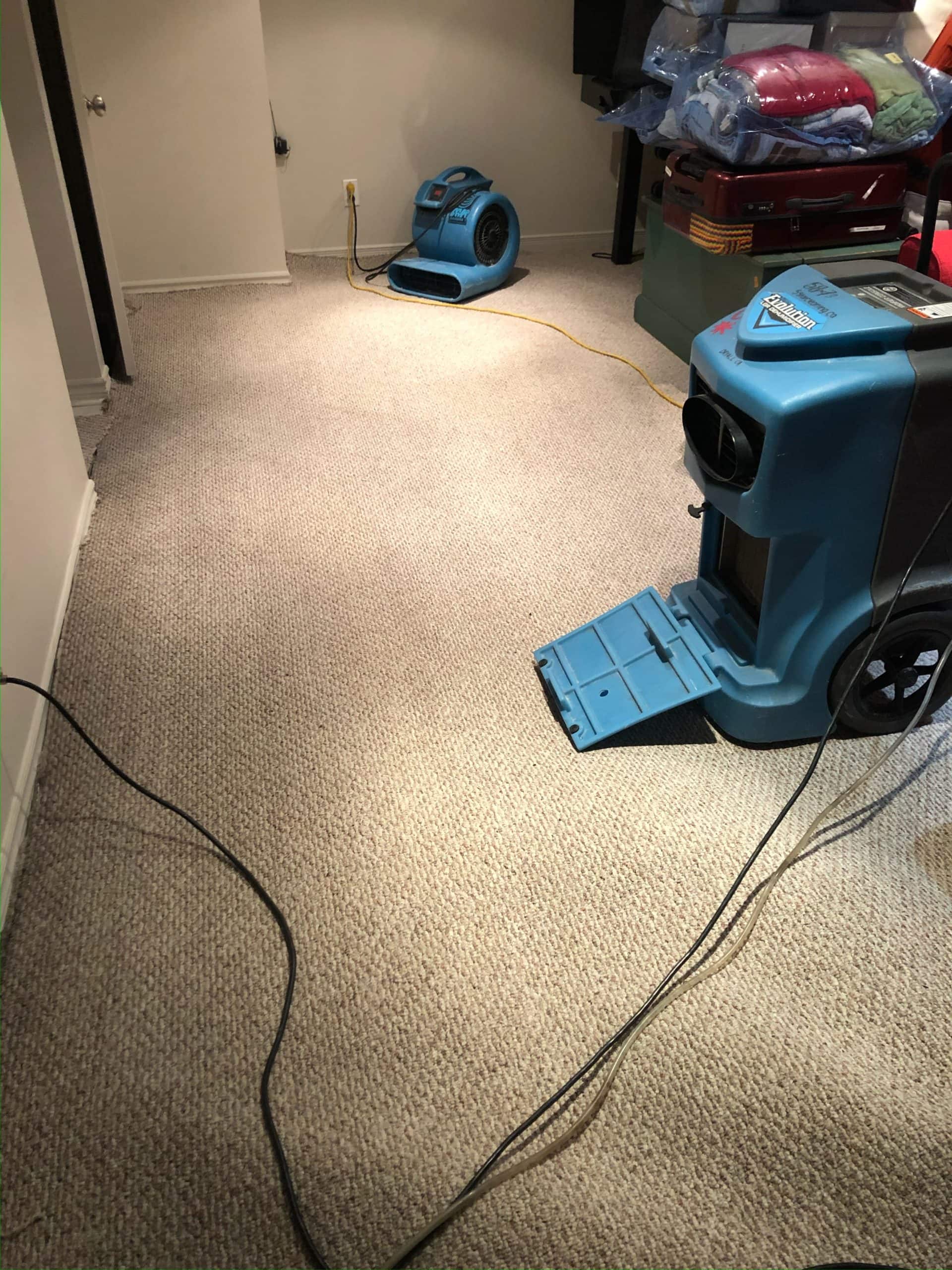 How Water damage affects the carpeted areas