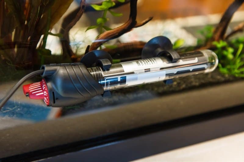 Best Aquarium Heaters The Ultimate Guide To Picking The Right One