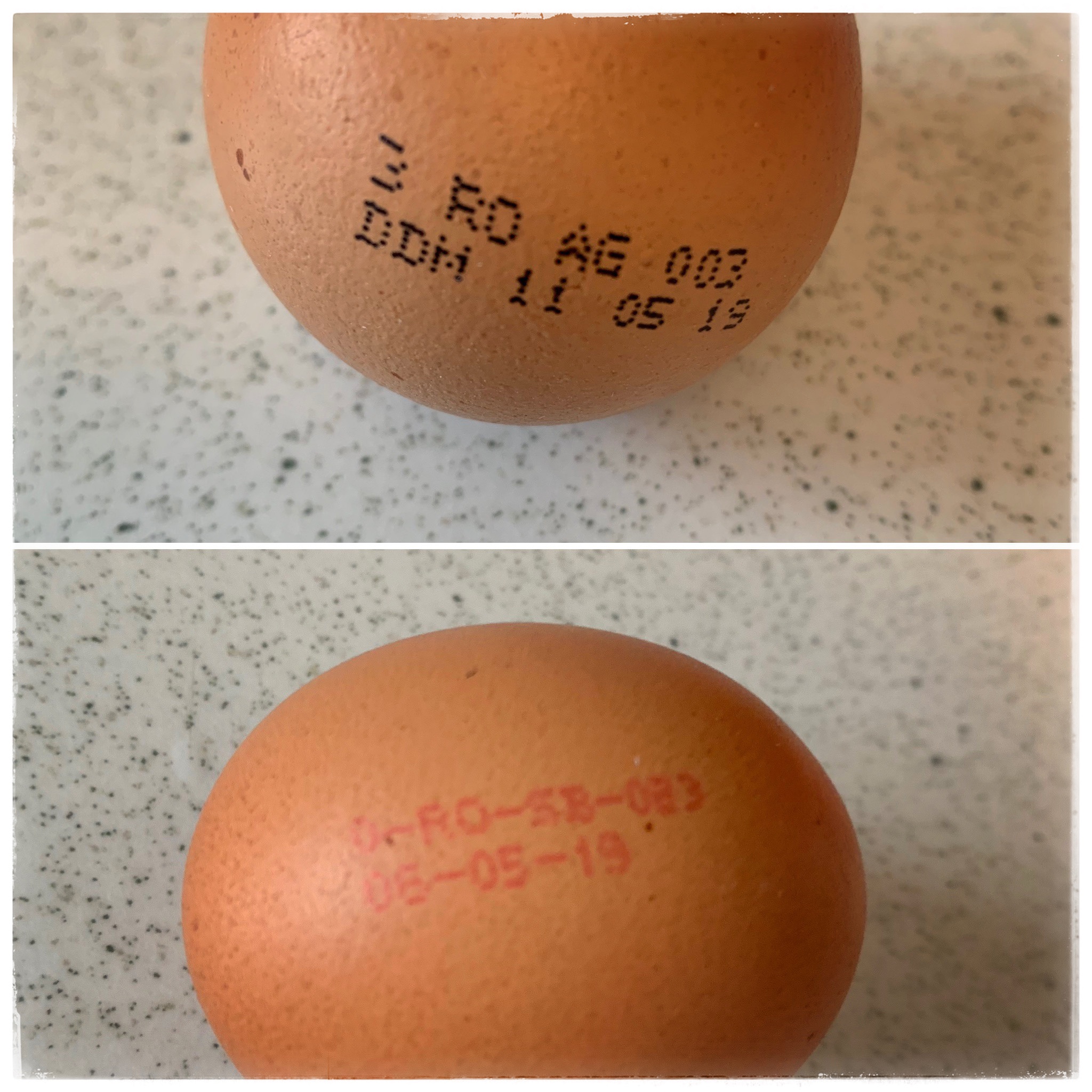 Eggs Quality, Grading and Safety (EN)