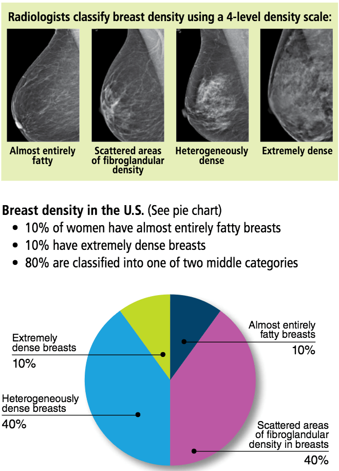 5 Under 40 Foundation New York City » Breast Density