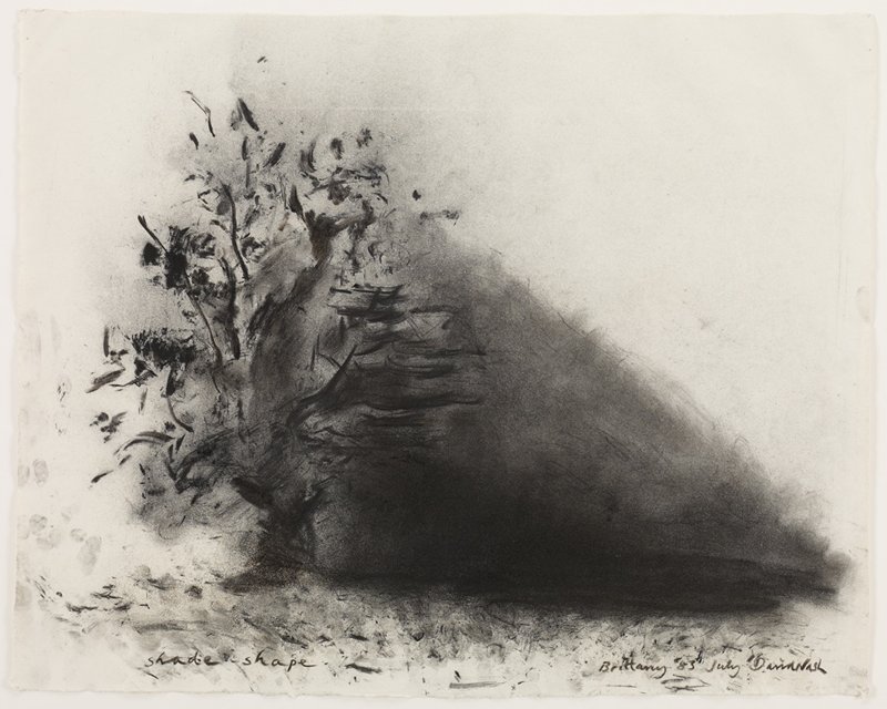 ShadeShape, David Nash Mia