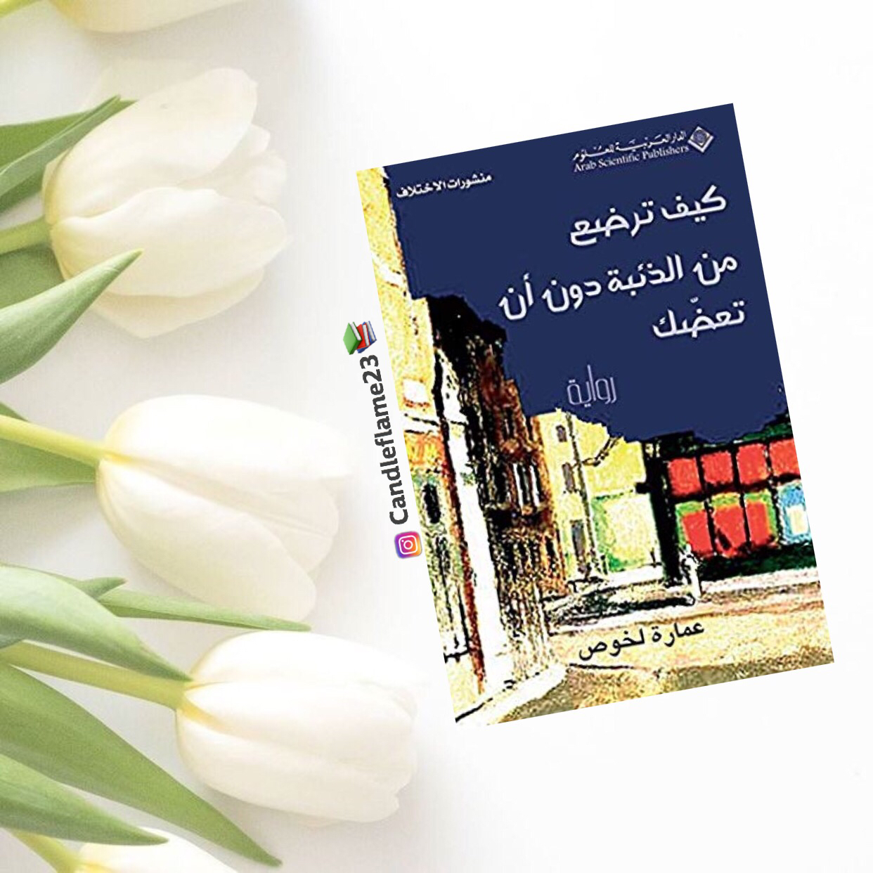 Clash of Civilizations Over an Elevator in Piazza Vittorio A Novel by