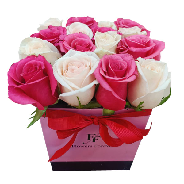 Lovely Pink and White Roses 600Flora