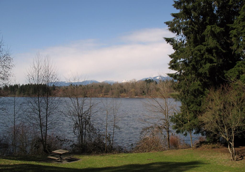604 Trails Deer Lake Park In Burnaby 604 Now