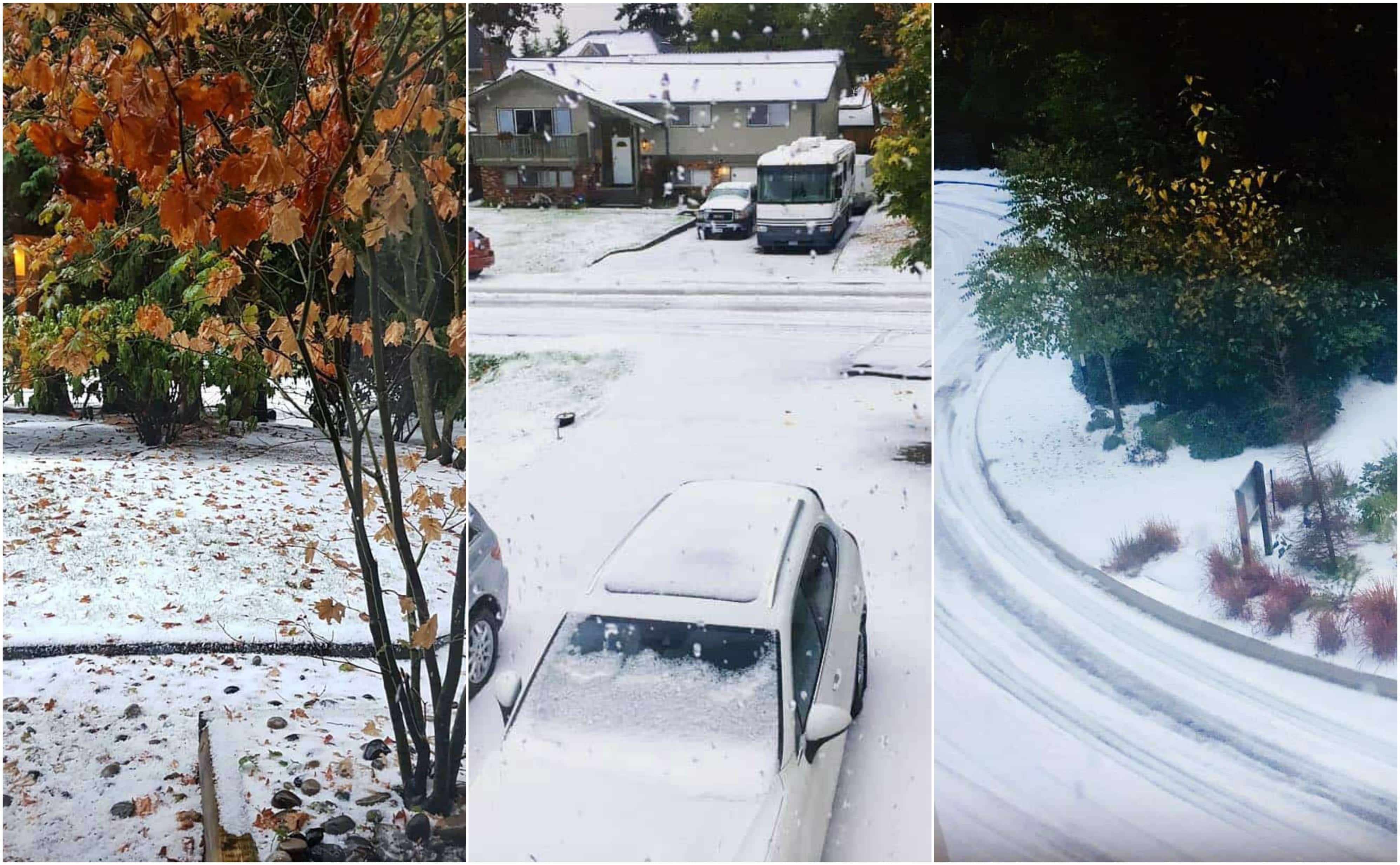 Winter Is Coming Snow Shock For White Rock And South Surrey (Photos)