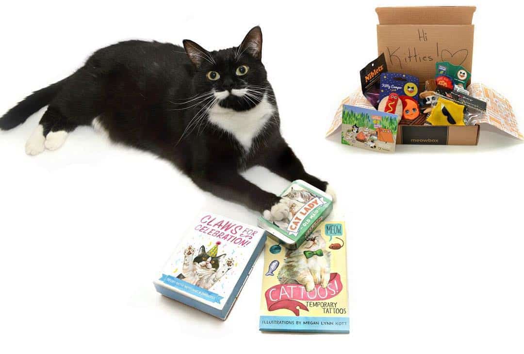 12 Canadian Subscription Boxes That You Have To Try