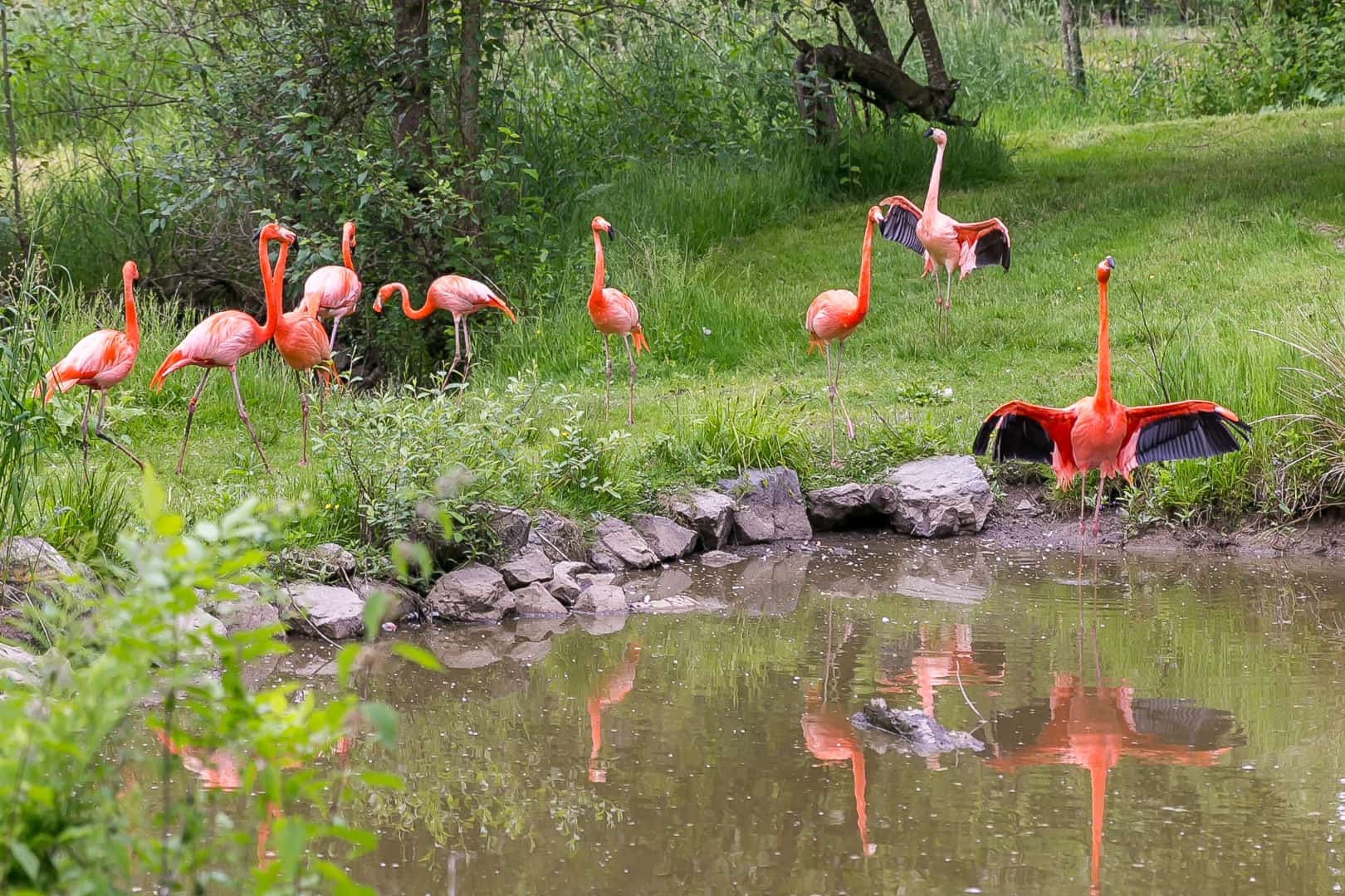 The Greater Vancouver Zoo Is Like The African Savannah Of Canada