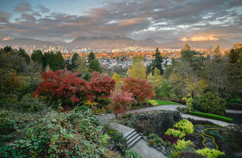 Fall Foliage Expected To Be Extra Colourful In Vancouver This Year