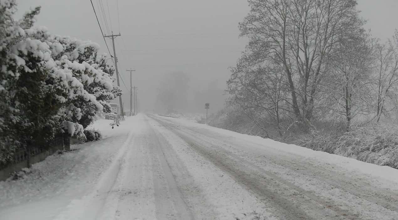 BC Snowfall Warning Issued; Up To 10 cms in Forecast