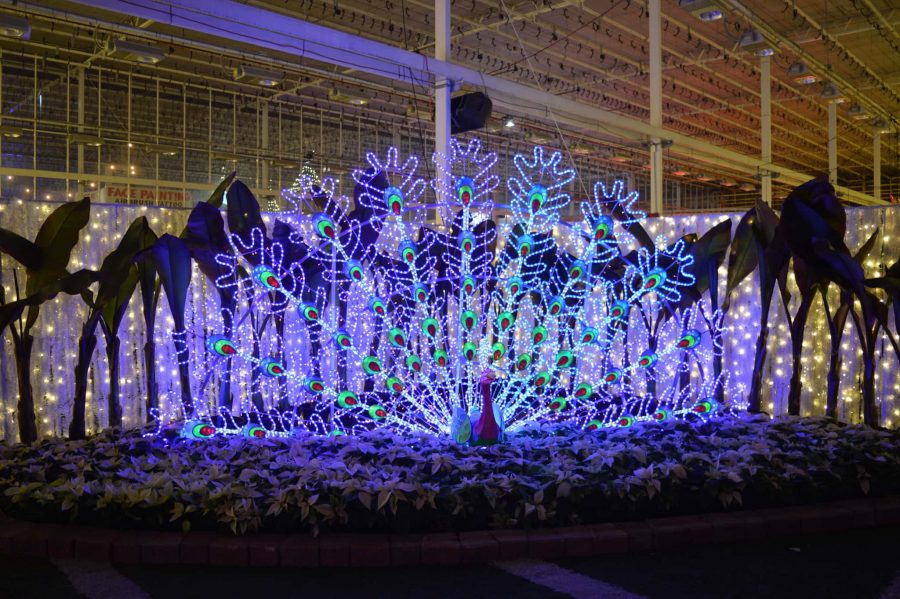 First Look Inside The 2018 Glow Christmas Light Garden & Market