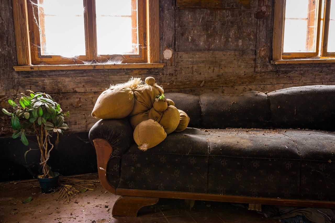 Vancouver Is One Of The Worst Bed Bug Cities In Canada