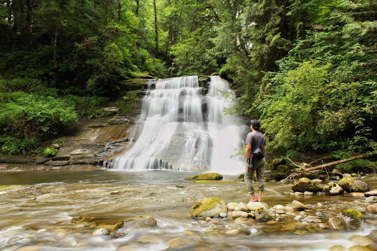 This Easy Hike Is One Of The Best Kept Secrets In Maple Ridge