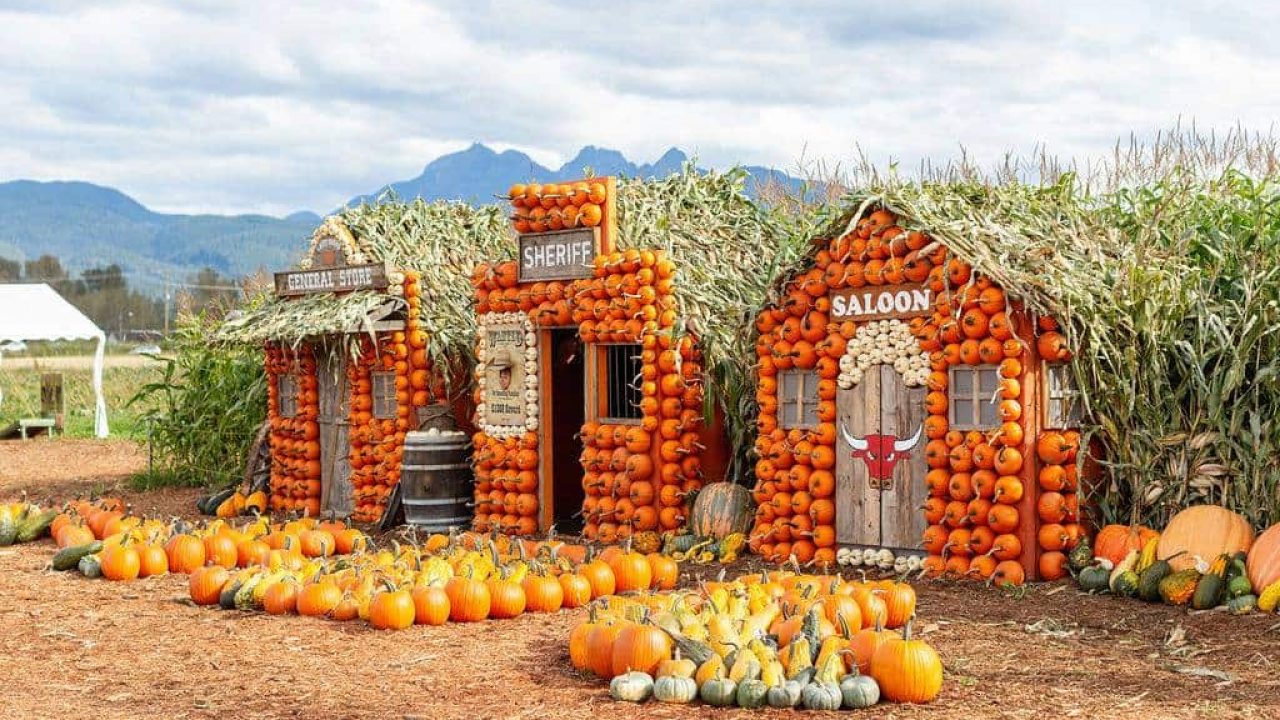 Pumpkintown Festival 2023 This Local Farm Has A 'Pumpkin Town' With A Glow In The Dark Garden