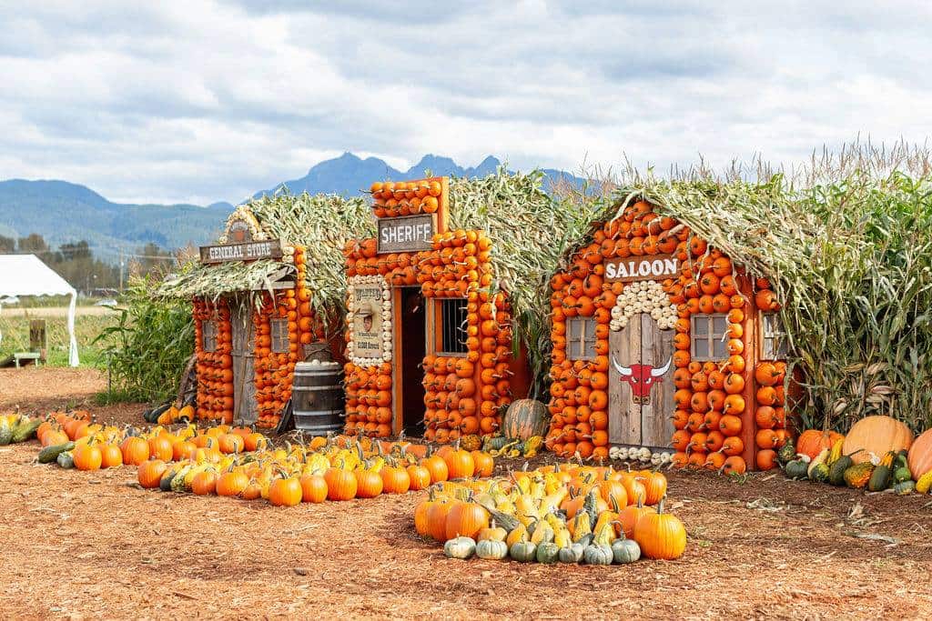 Best Pumpkin Patches Haunted Houses Halloween Events In Vancouver Hot