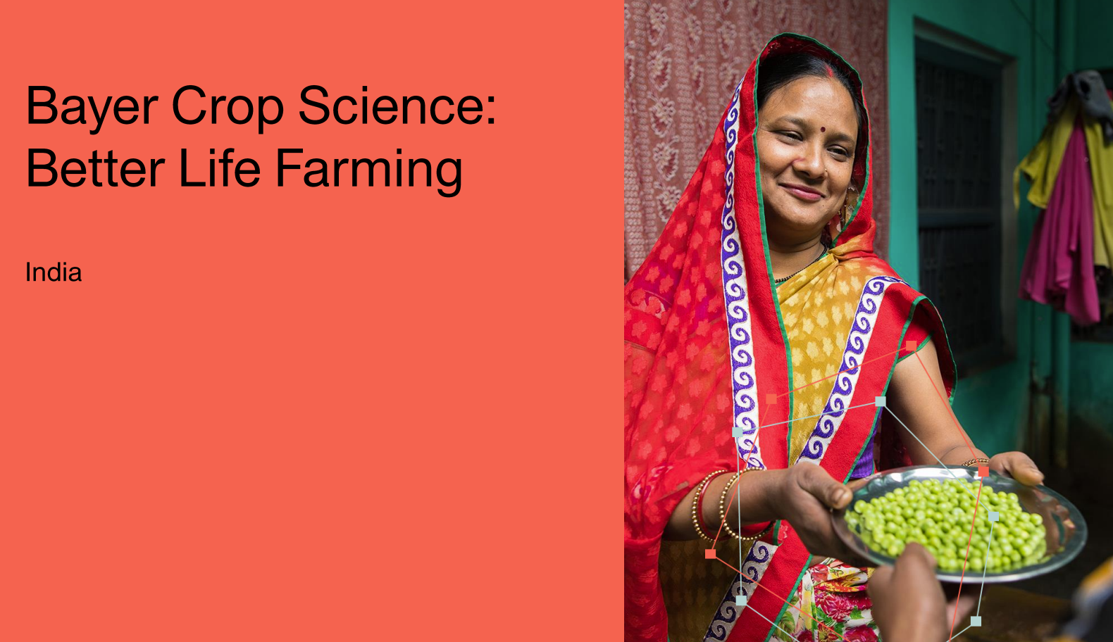 Bayer Improves Smallholder Farmers' Livelihoods 60 Decibels