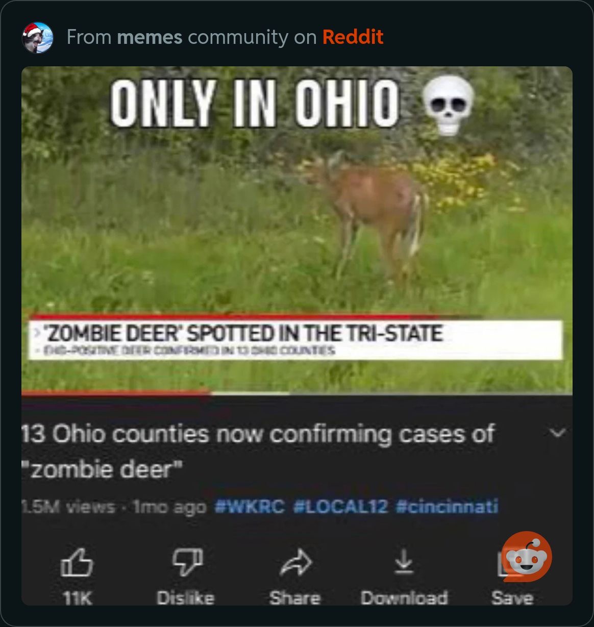This Ohiorelated meme was the secondmost googled meme in the country