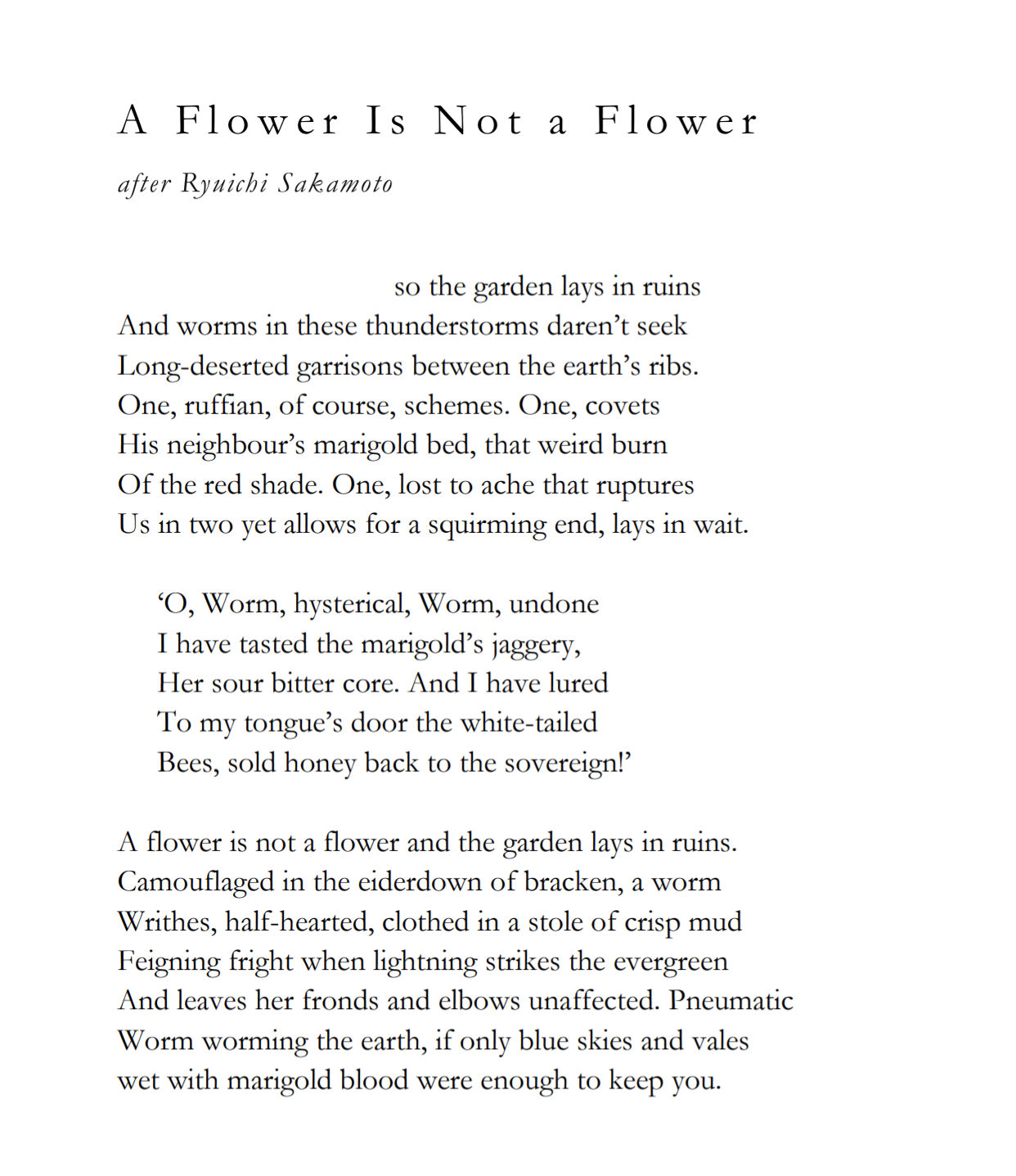 A Flower Is Not a Flower 62 Gladstone Street