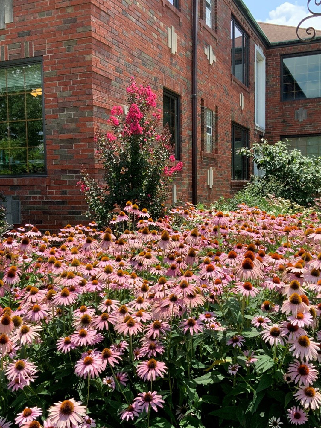 Gallery 63109 Apartmentrentals