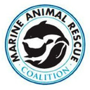 Marine Animal Rescue Coalition