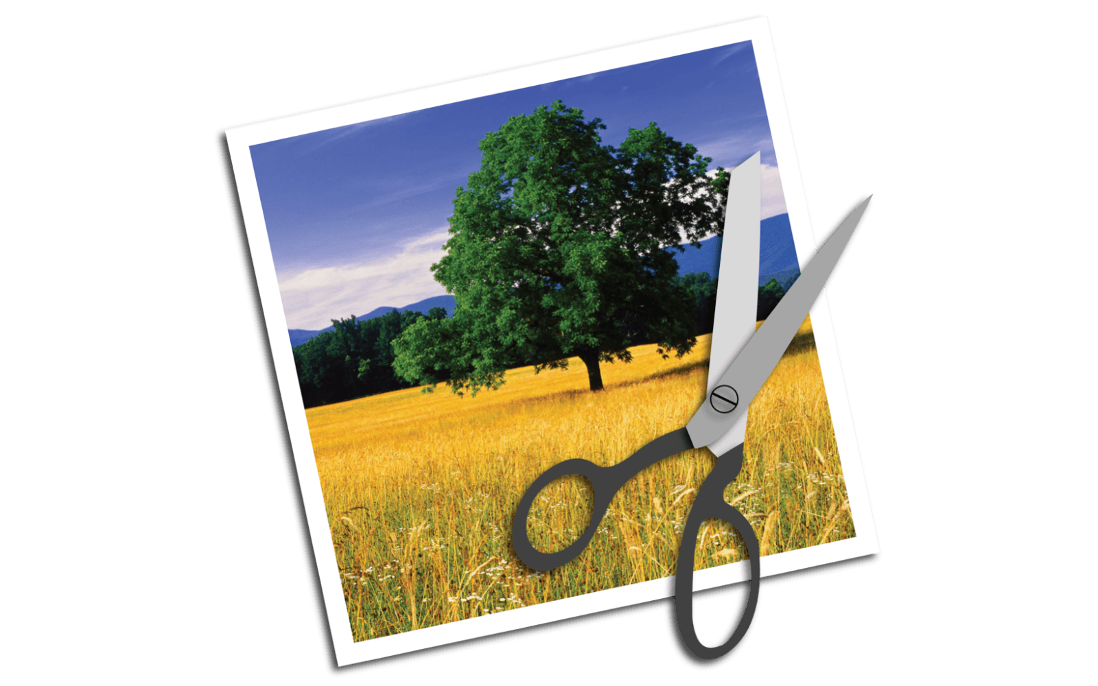 How to Crop an Image on Mac OS X