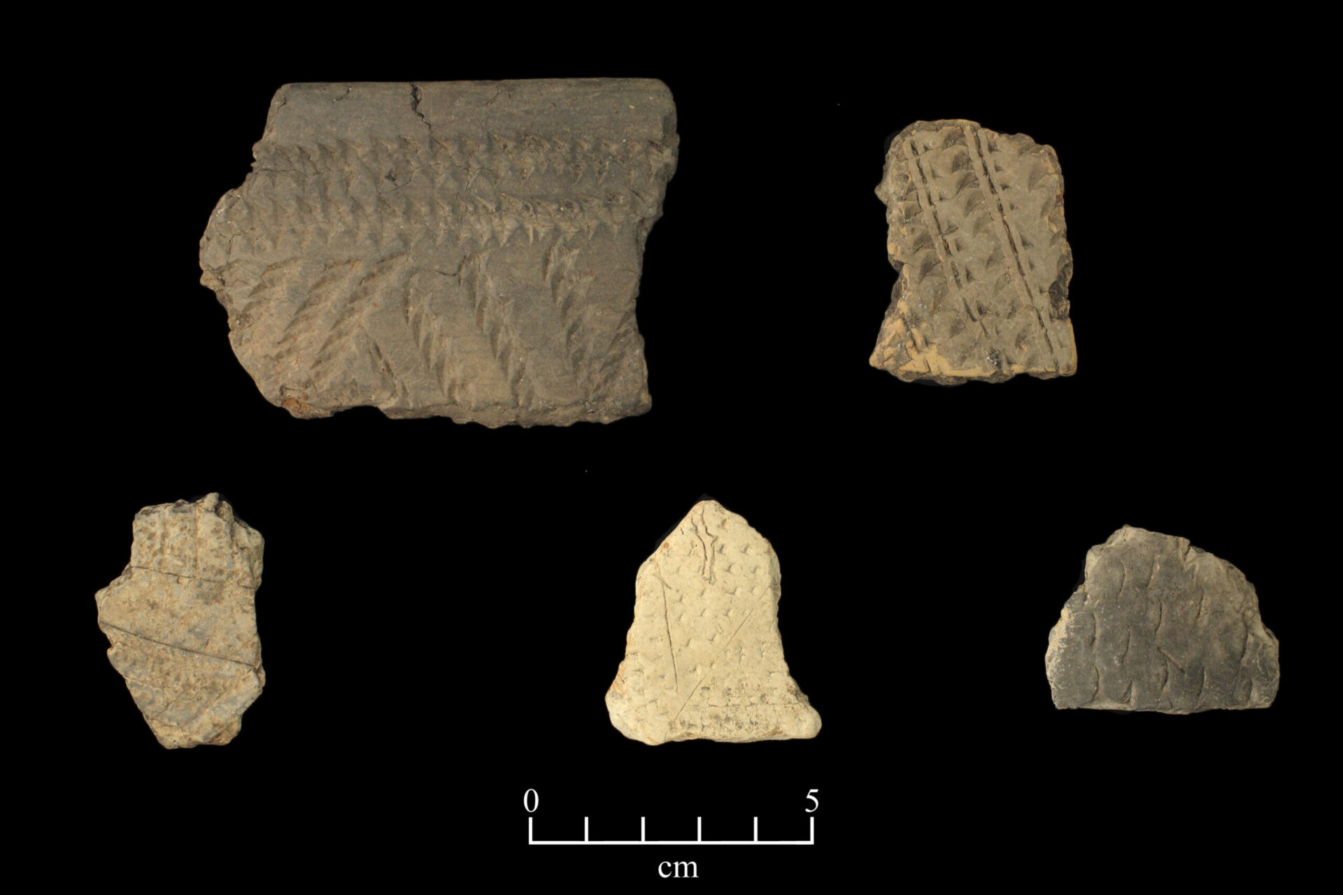 Tchefuncte Pottery Sherds 64 Parishes
