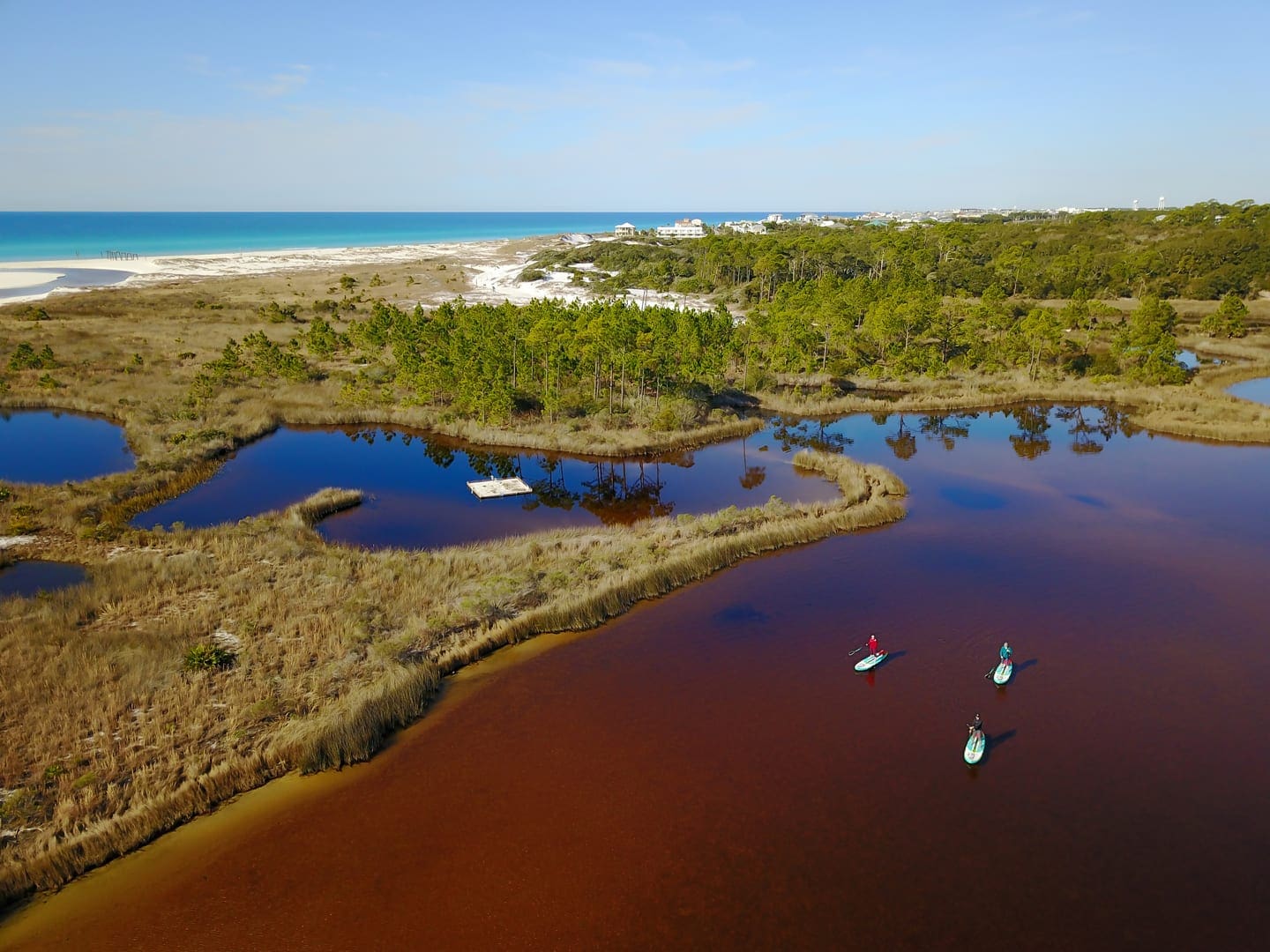 Top 10 Things to do in Panama City Beach Meghan Laurie