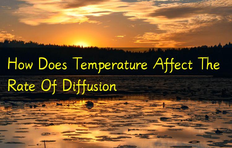 How Does Temperature Affect The Rate Of Diffusion - 666how.com