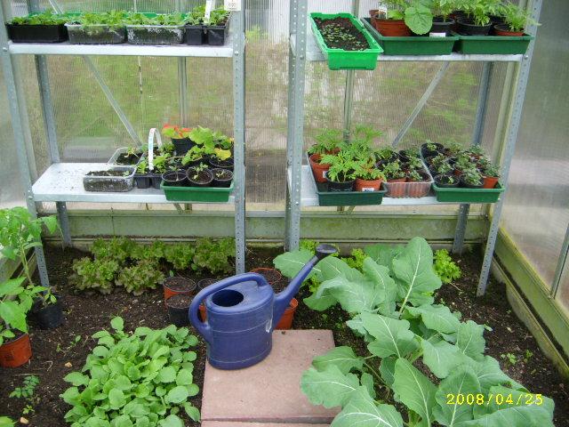 Gewächshaus Mein schöner Garten Forum