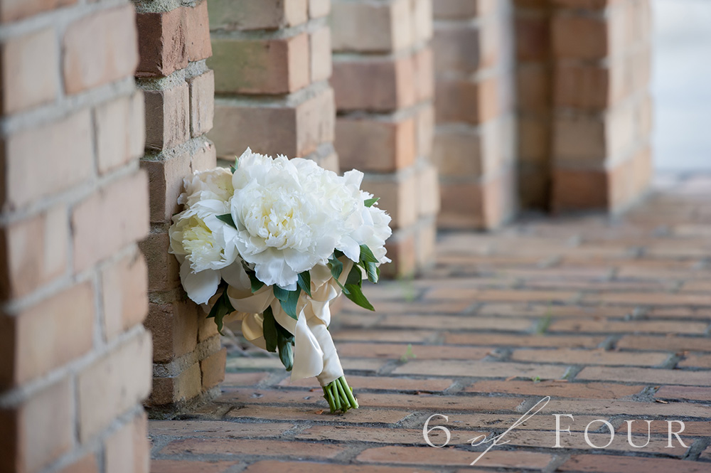 Albright's Flowers Columbus Ga Albright S Inc Anthurium Plant Columbus Ga 31907 Ftd Florist