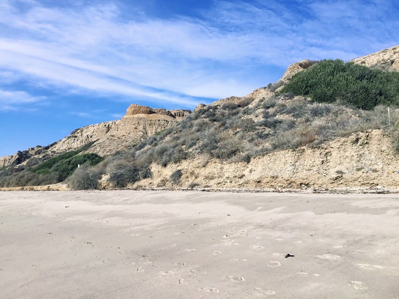 Dog Friendly Beaches in San Diego San Diego Beach Secrets