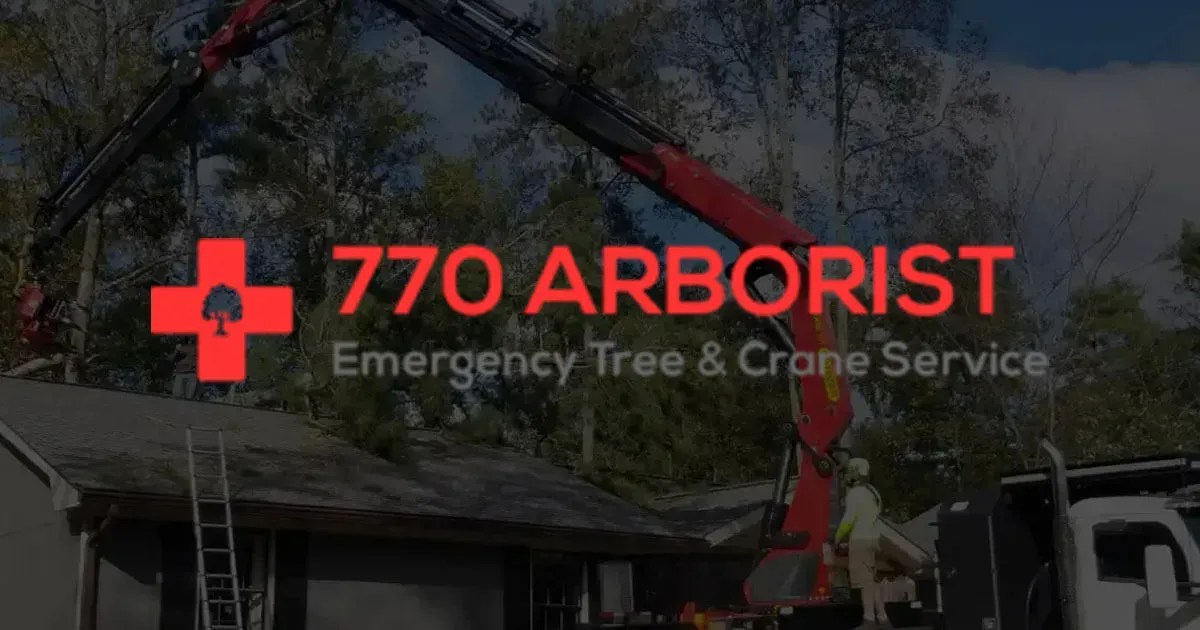 Emergency Tree Service in Canton & Atlanta GA 770 Arborist
