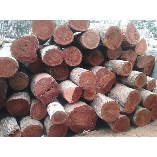 Mahogany wood , Advantages of Mahogany wood & disAdvantages of Mahogany