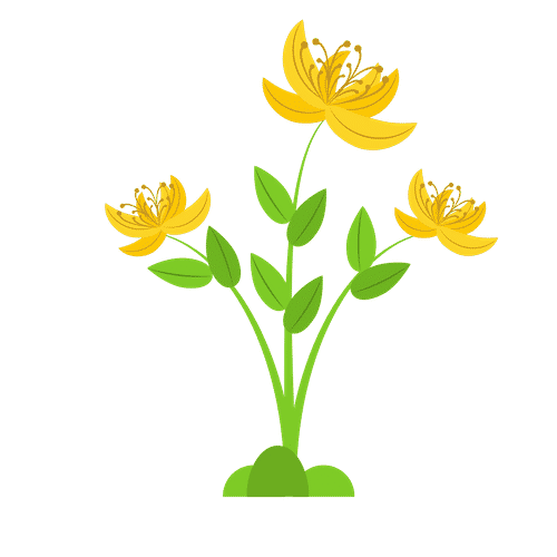 Flower Names and List of Flowers with Images • 7ESL