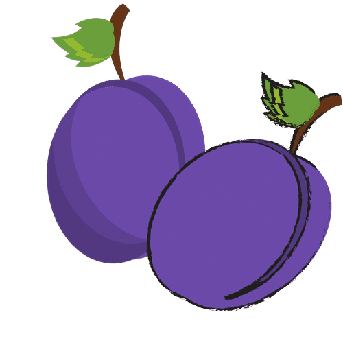 Different Fruits Names In English and Hindi 2024