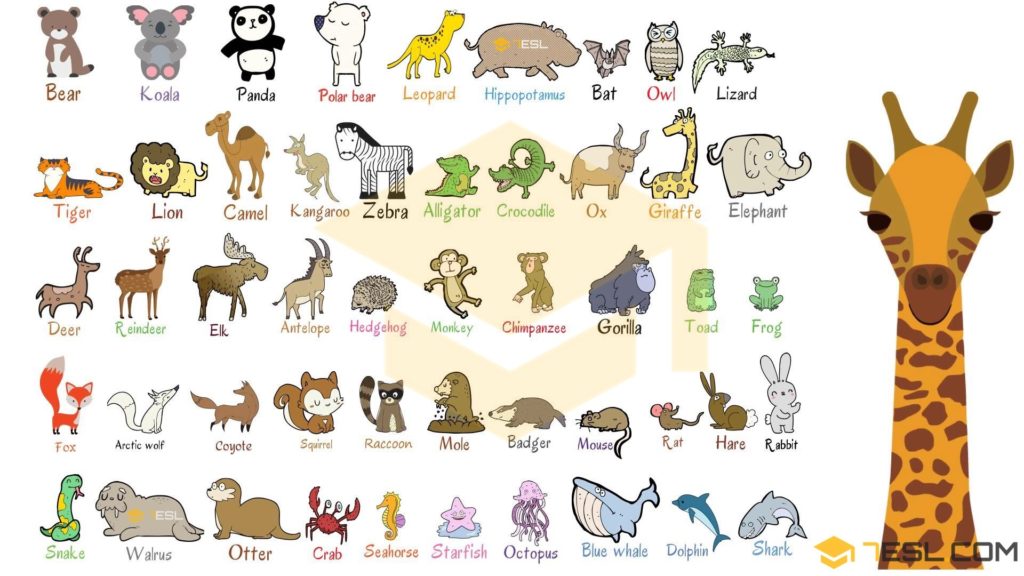 Wild Animals Names List of 100+ Wild Animals in English • 7ESL