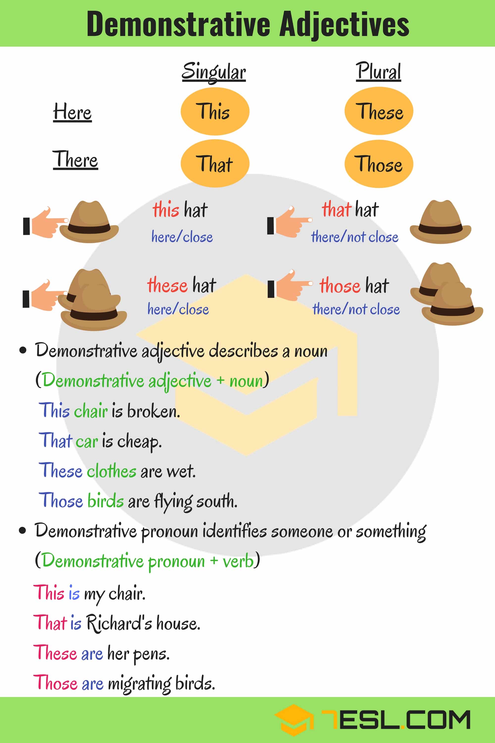 Demonstrative Adjectives 7 E S L