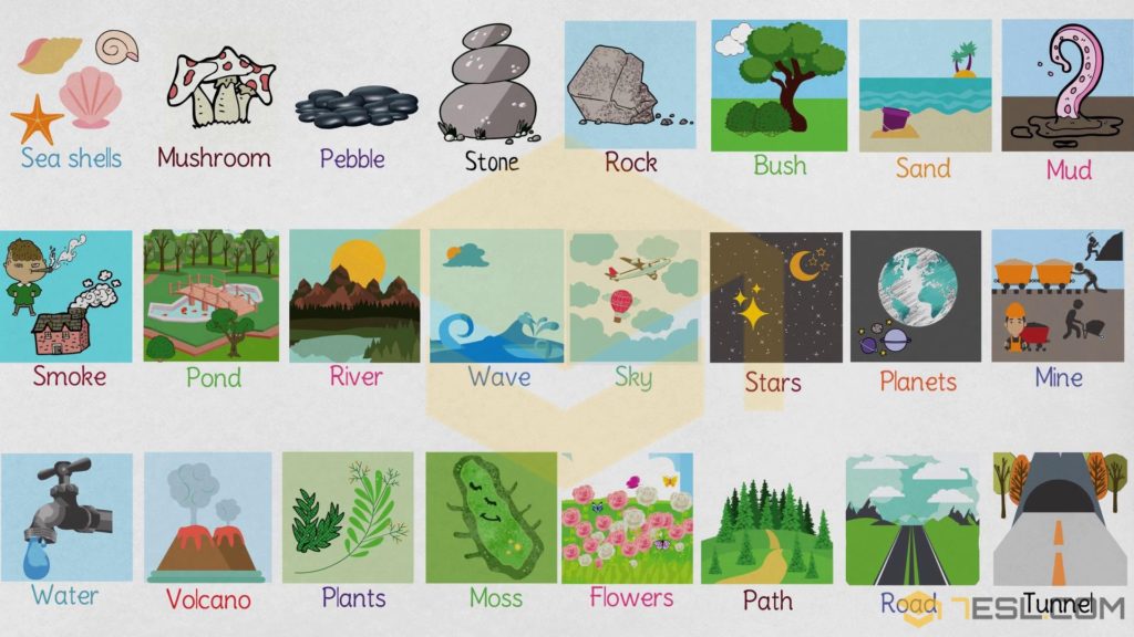 Nature Words Useful Nature Vocabulary in English • 7ESL