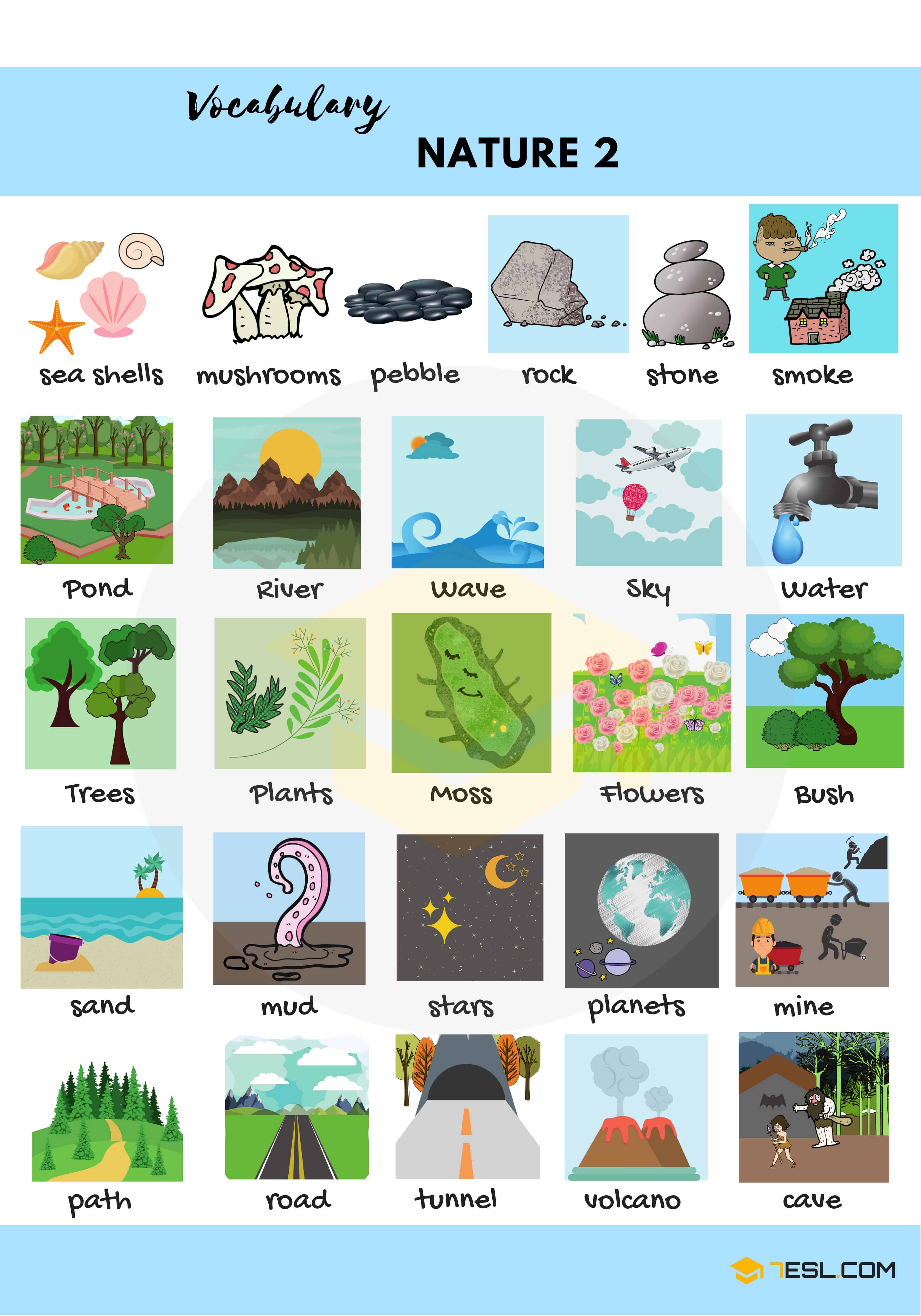 Nature Vocabulary in English The Natural World 7 E S L