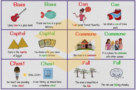 100+ Common Examples of Homographs in English • 7ESL