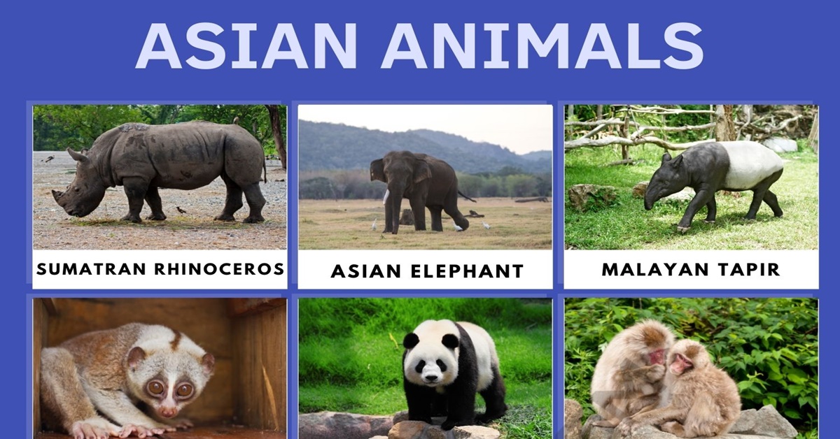Asian Animals List of Remarkable Animals that Live in Asia • 7ESL