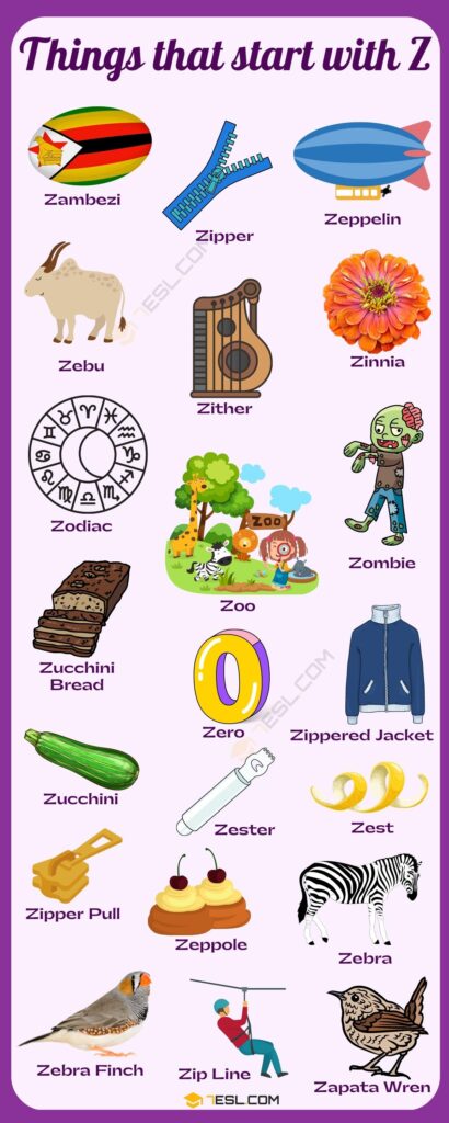 Things that Start with Z in English • 7ESL
