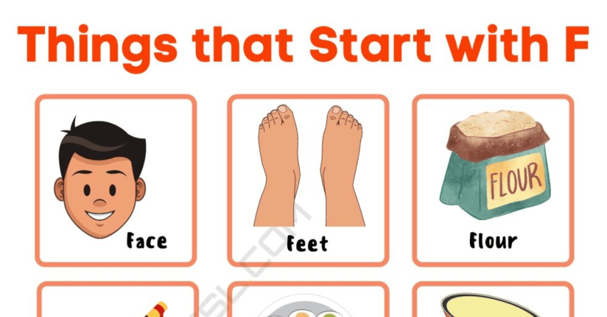 250+ Common Things that Start with F in English • 7ESL