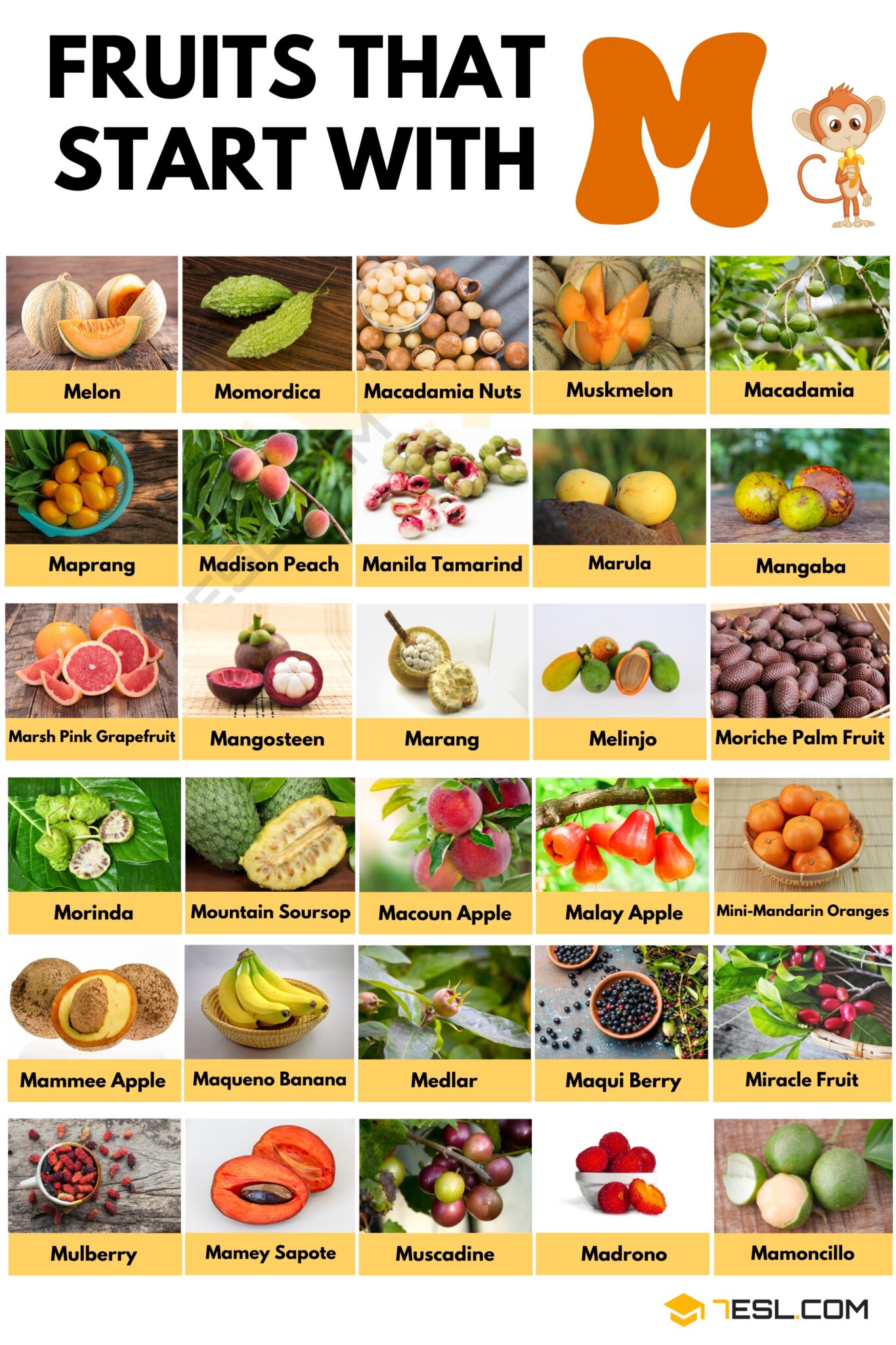 Fruits that Start with M in English • 7ESL