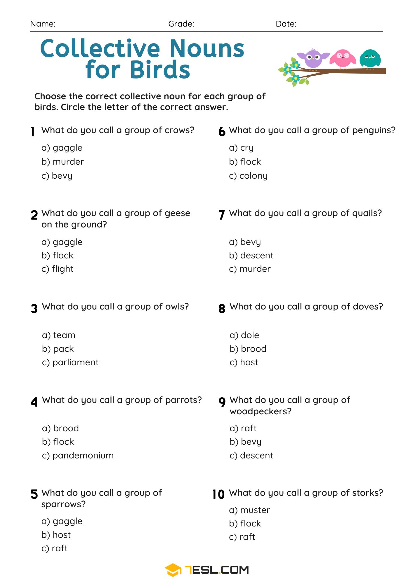 Collective Nouns for Birds Worksheets and Exercises • 7ESL